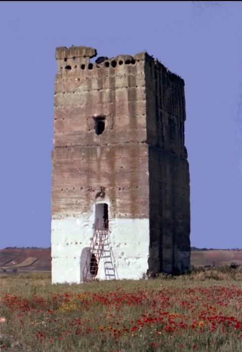 La Victoria. Torre de Don Lucas. Asociación española de amigos de los
