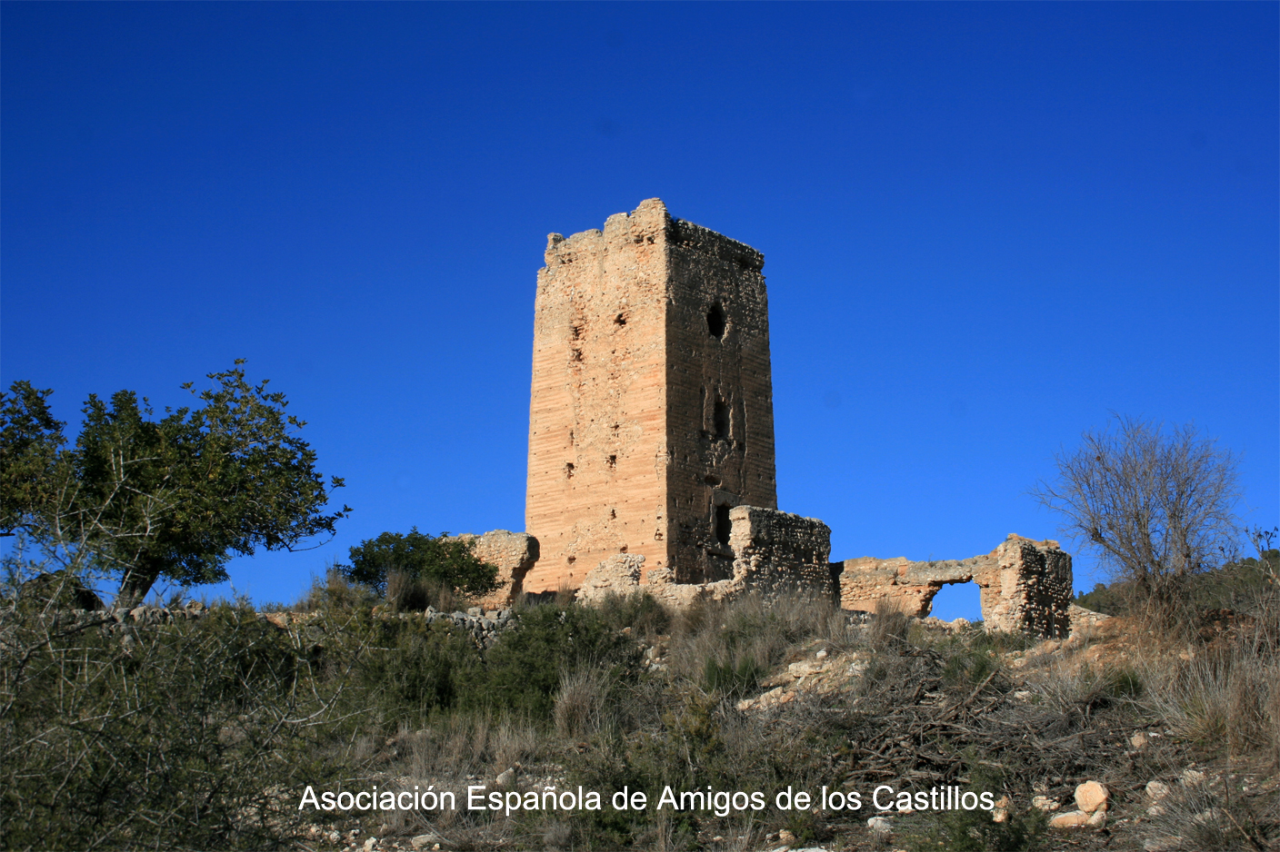 Castillo de Aledua Asociación española de amigos de los Castillos