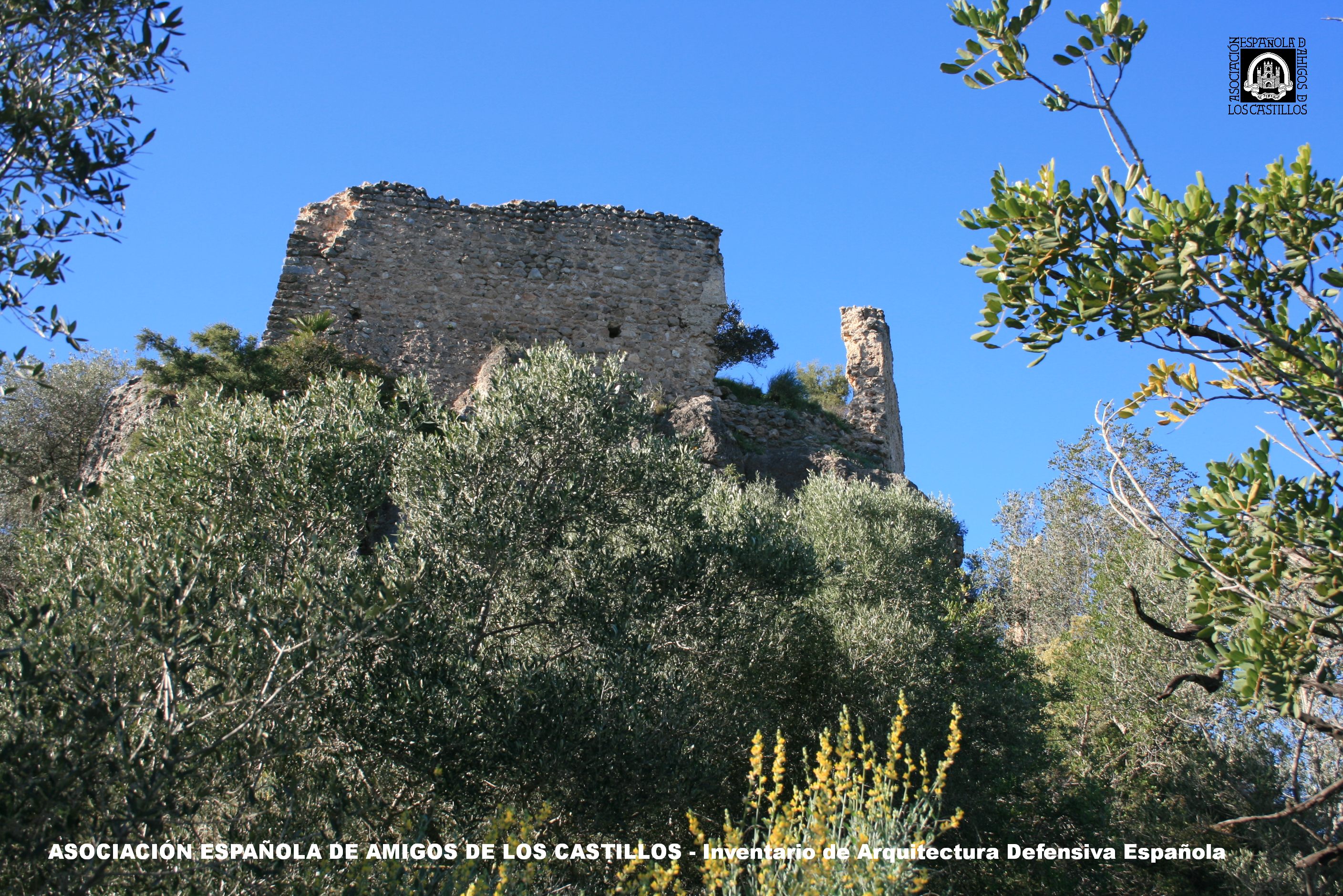 Castillo de Palma Asociación española de amigos de los Castillos